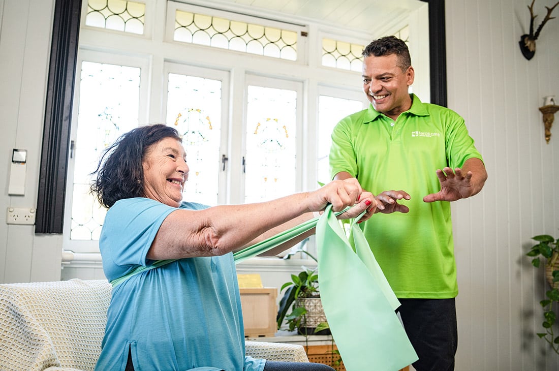 in-home aged care assistance
